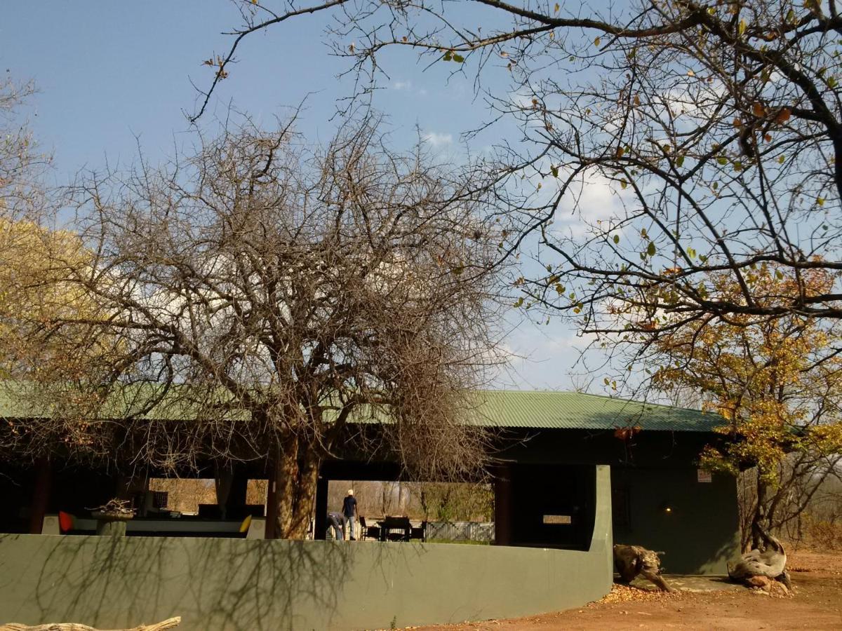 Bush Camp Phalaborwa Villa Exteriör bild